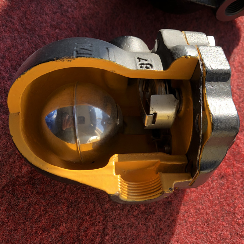 Float Steam Trap