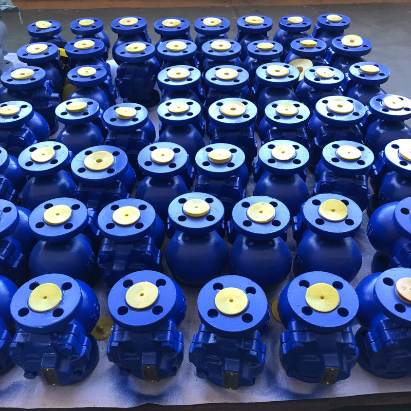 Float Steam Trap