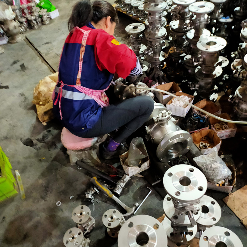 Stainless Steel Valve