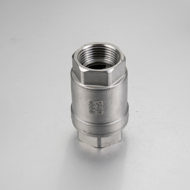 Stainless Steel 304/316 Spring Check Valve