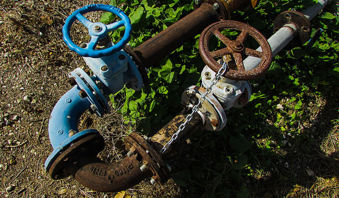 What would be the Future for Valves in the Pharmaceutical Industry?