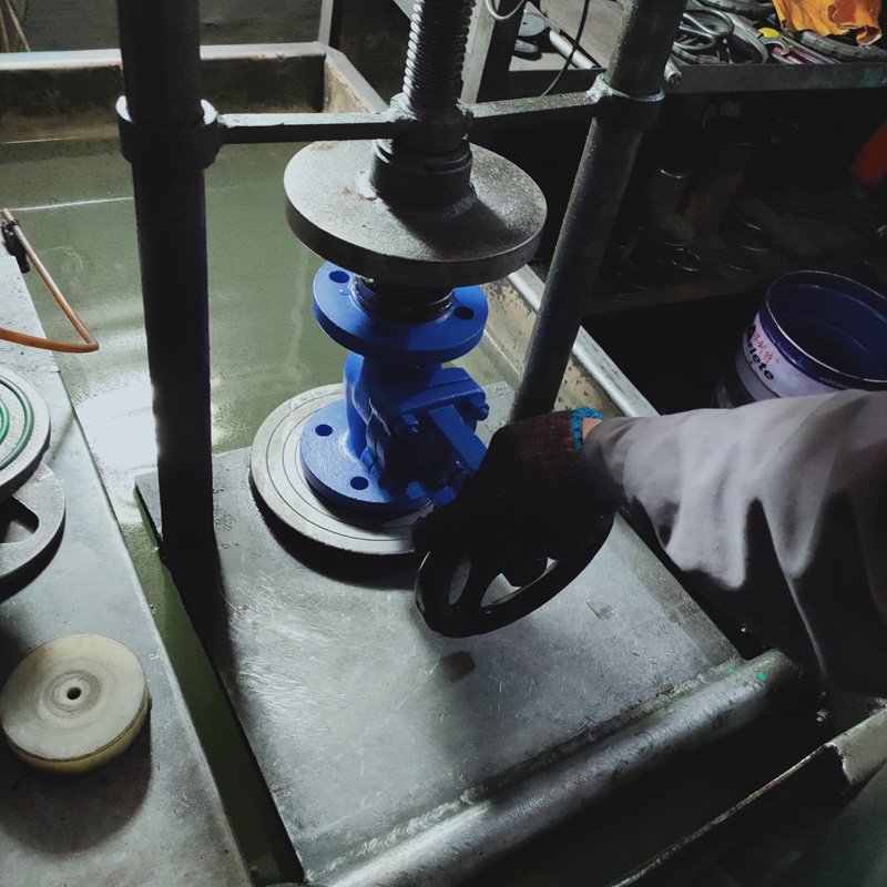 Bellows Seal Globe Valve