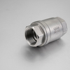 Stainless Steel 304/316 Spring Check Valve