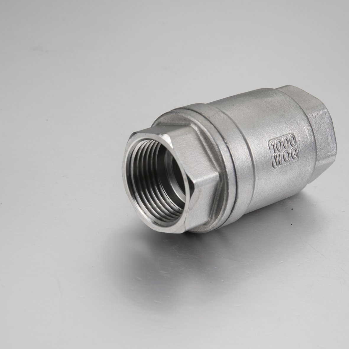 Stainless Steel 304/316 Spring Check Valve