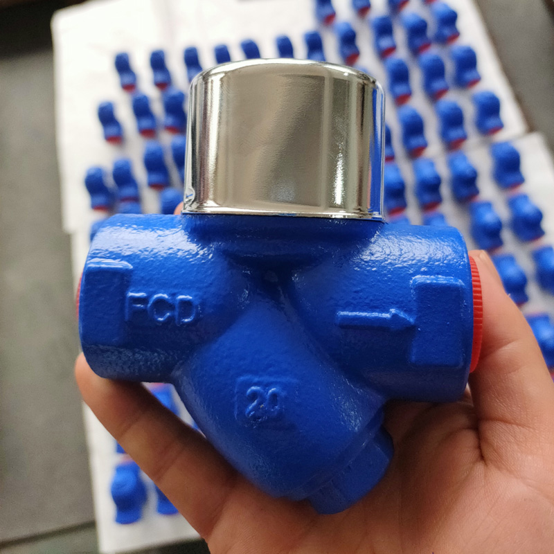 Thermodynamic Steam Trap