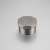 Stainless Steel 304/316 Hexagon Plug Male End