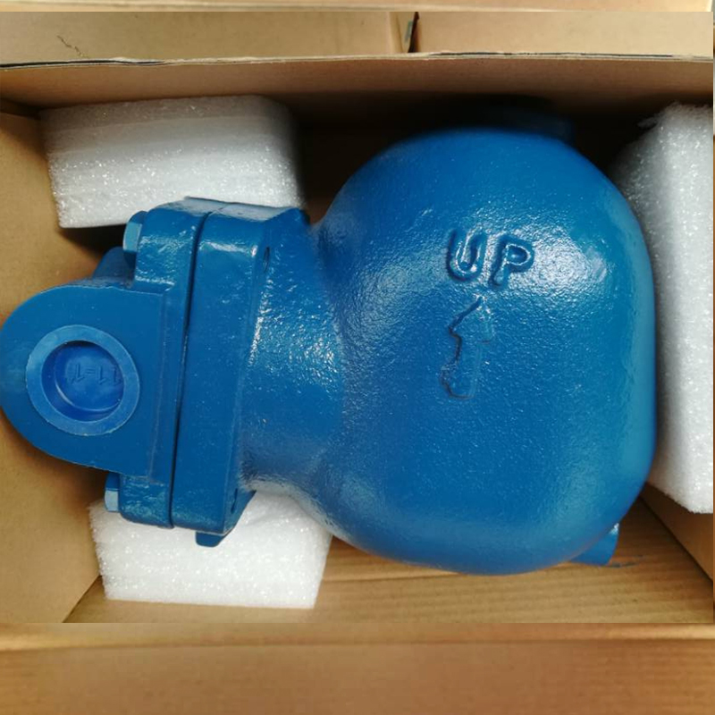 Float Steam Trap