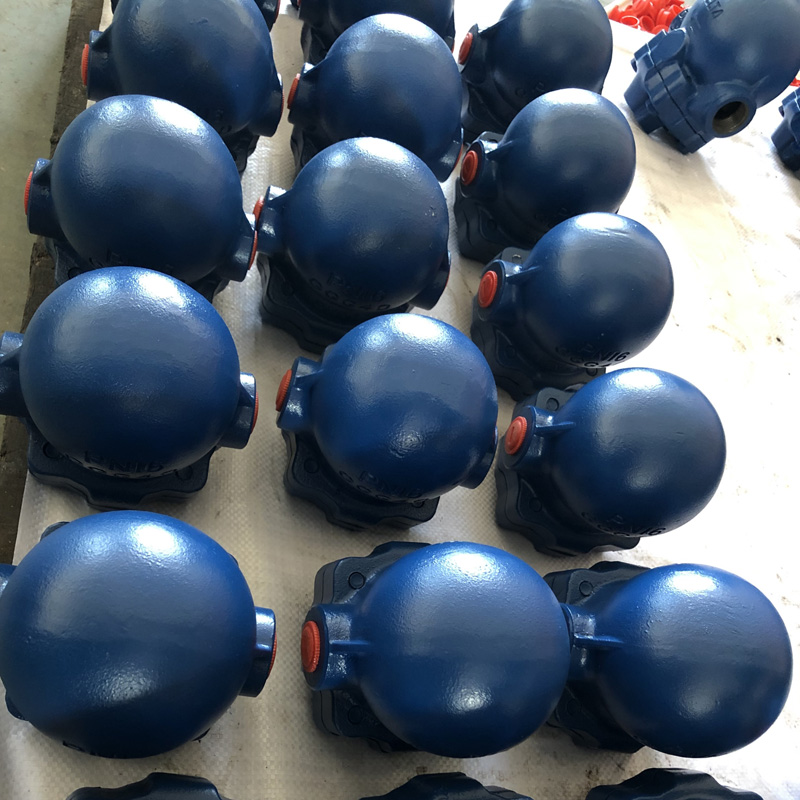 Float Steam Trap
