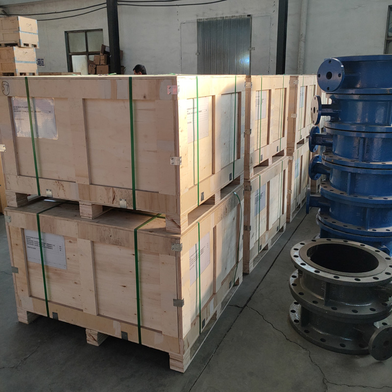 Butterfly Valve