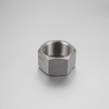 Stainless Steel 304/316 Hexagon Cap Female End