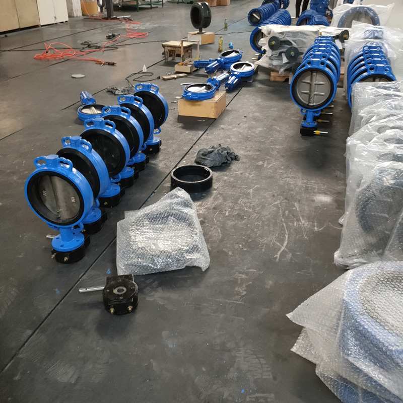 Butterfly Valve