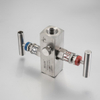 Instrument 2 Way Valve Manifold