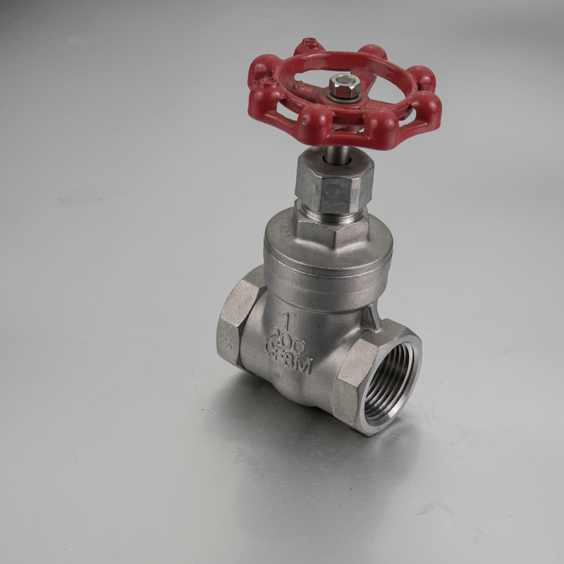 Stainless Steel 304/316 Gate Valve