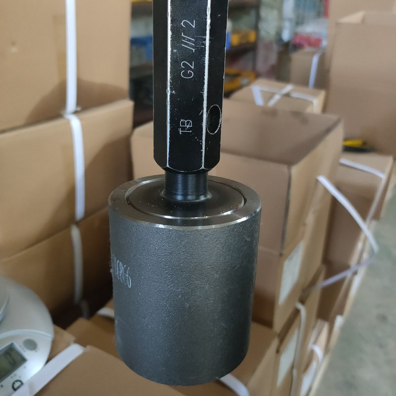 forged steel fitting