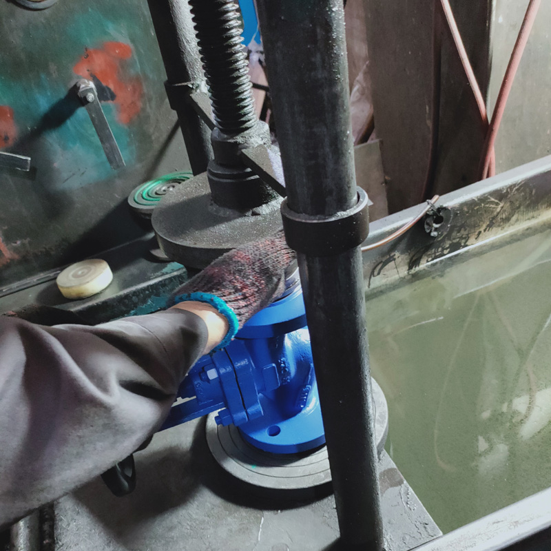 Bellows Seal Globe Valve