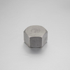 Stainless Steel 304/316 Hexagon Cap Female End