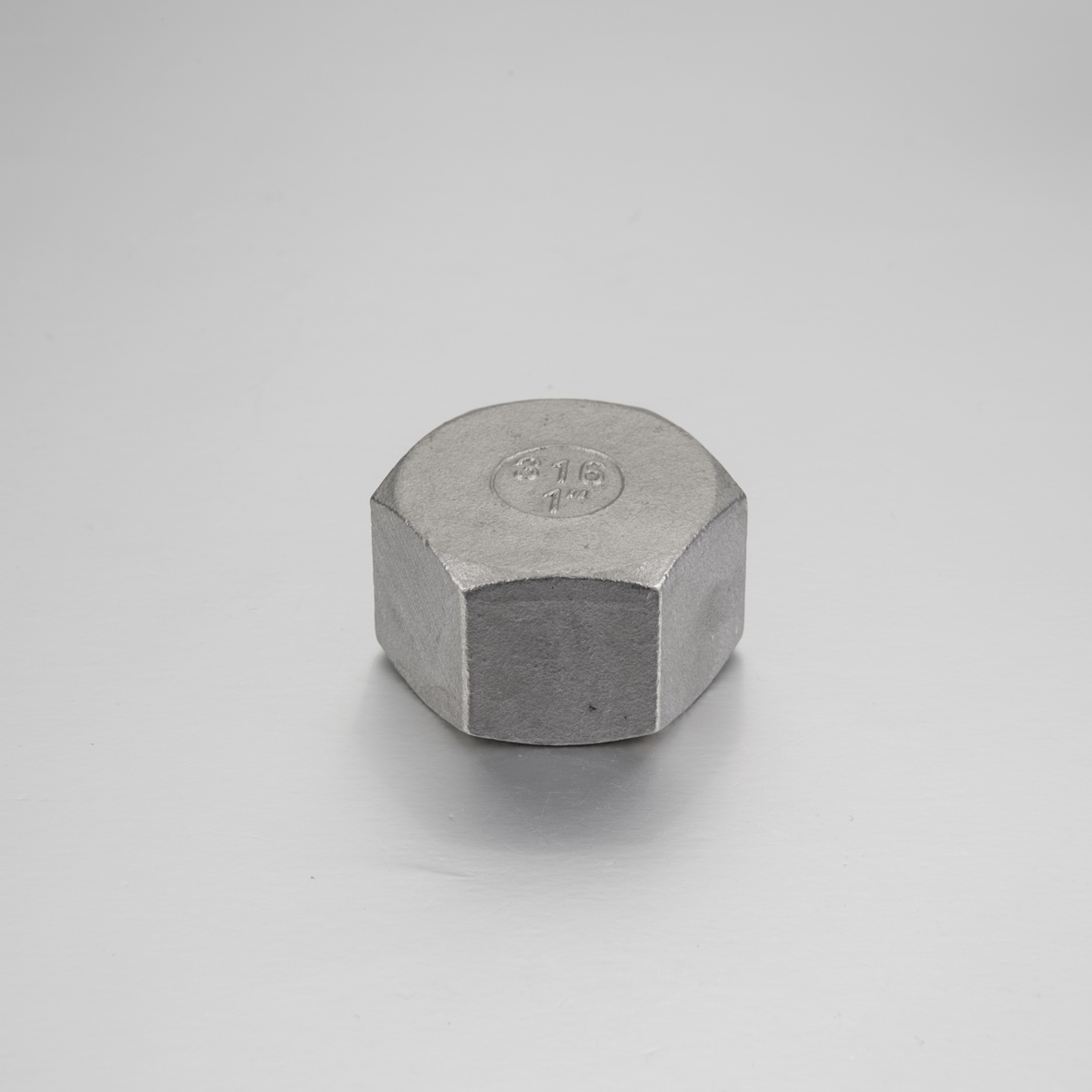 Stainless Steel 304/316 Hexagon Cap Female End