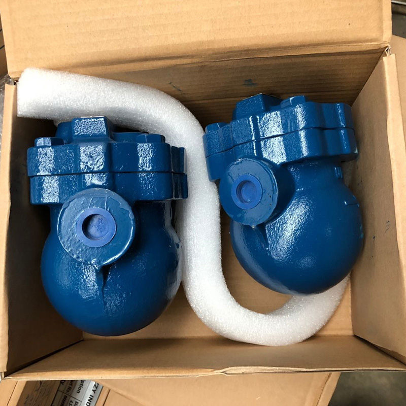 Float Steam Trap