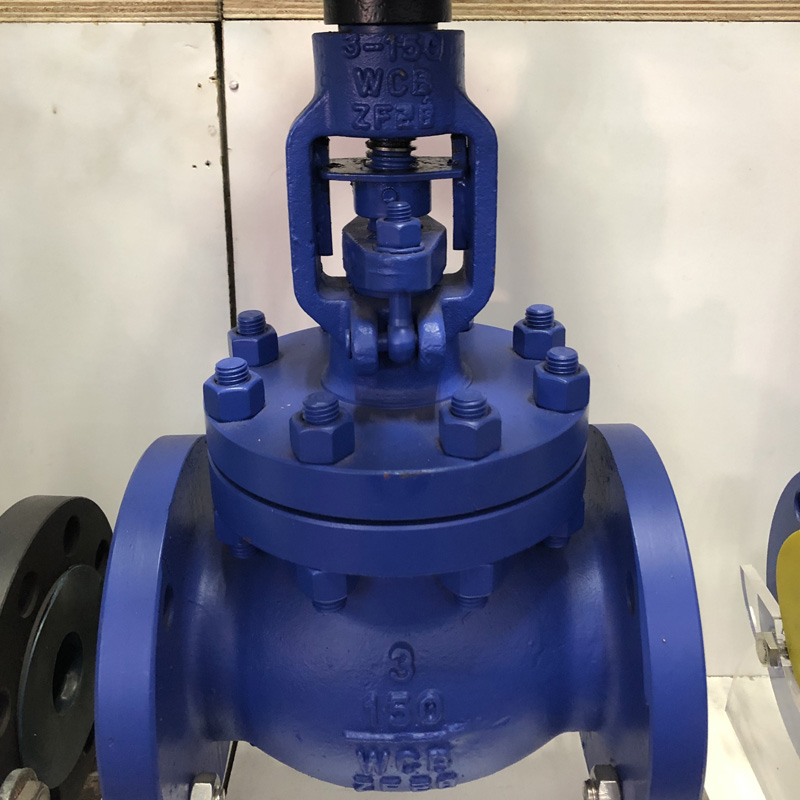 Bellows Seal Globe Valve