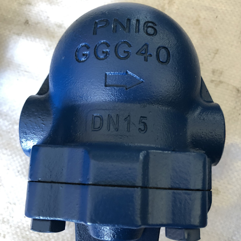 Float Steam Trap