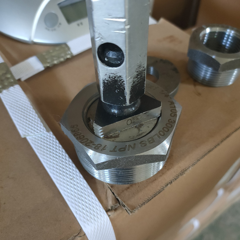 Forged Steel Fitting