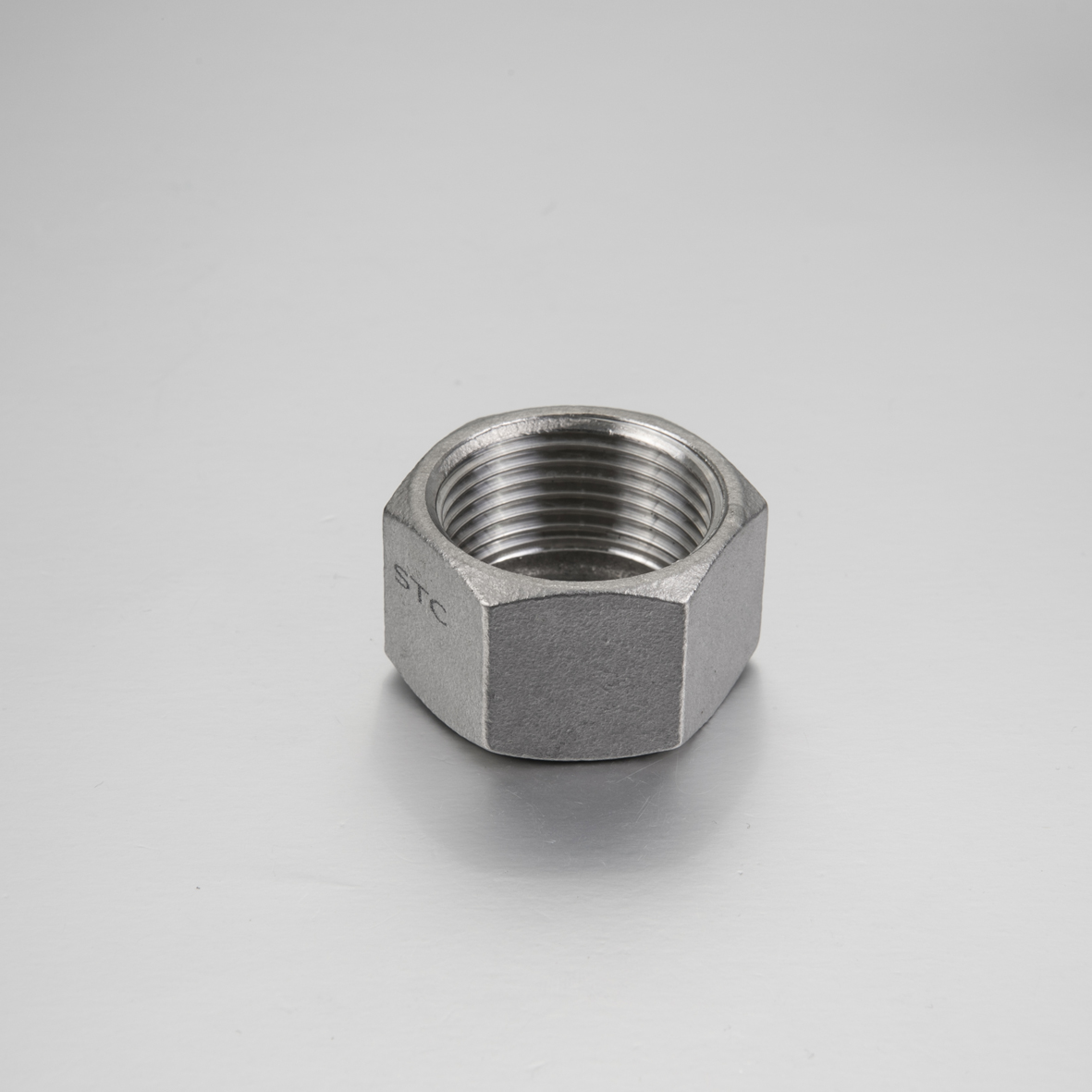 Stainless Steel 304/316 Hexagon Cap Female End